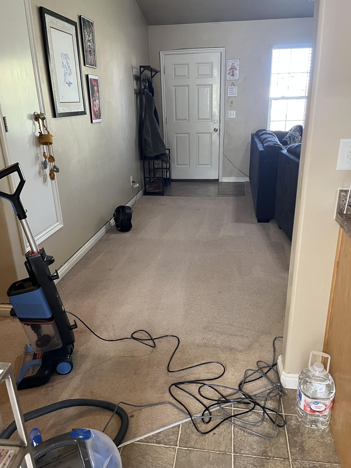 Shark CarpetXpert Upright Carpet, Area Rug & Upholstery Cleaner, Built-In Spot & Stain Remover & XL Tool, Perfect for Pets, Carpet Shampooer, 3 Cleaning Tools, Cleaning Solution, Slate Green, EX151 - Customer Photo 1