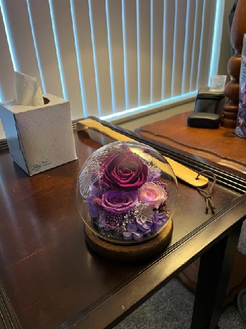 FIACO Gifts for Mom Women Birthday Preserved Flowers in Glass Dome Forever Fresh Flowers for Delivery Prime Long-Lasting Eternal Roses Gifts for Grandma Sister Daughter Wife Her Girlfriend Purple - Customer Photo 1