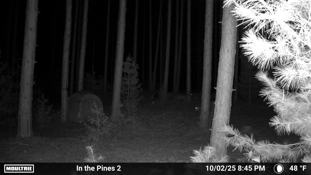 Moultrie Edge 2 Cellular Trail Camera - Auto Connect Nationwide 4G LTE - On Demand 36MP Photo - 1080P Video with HD Audio - 100 Ft Detection Range - Low Glow Flash - Customer Photo 2