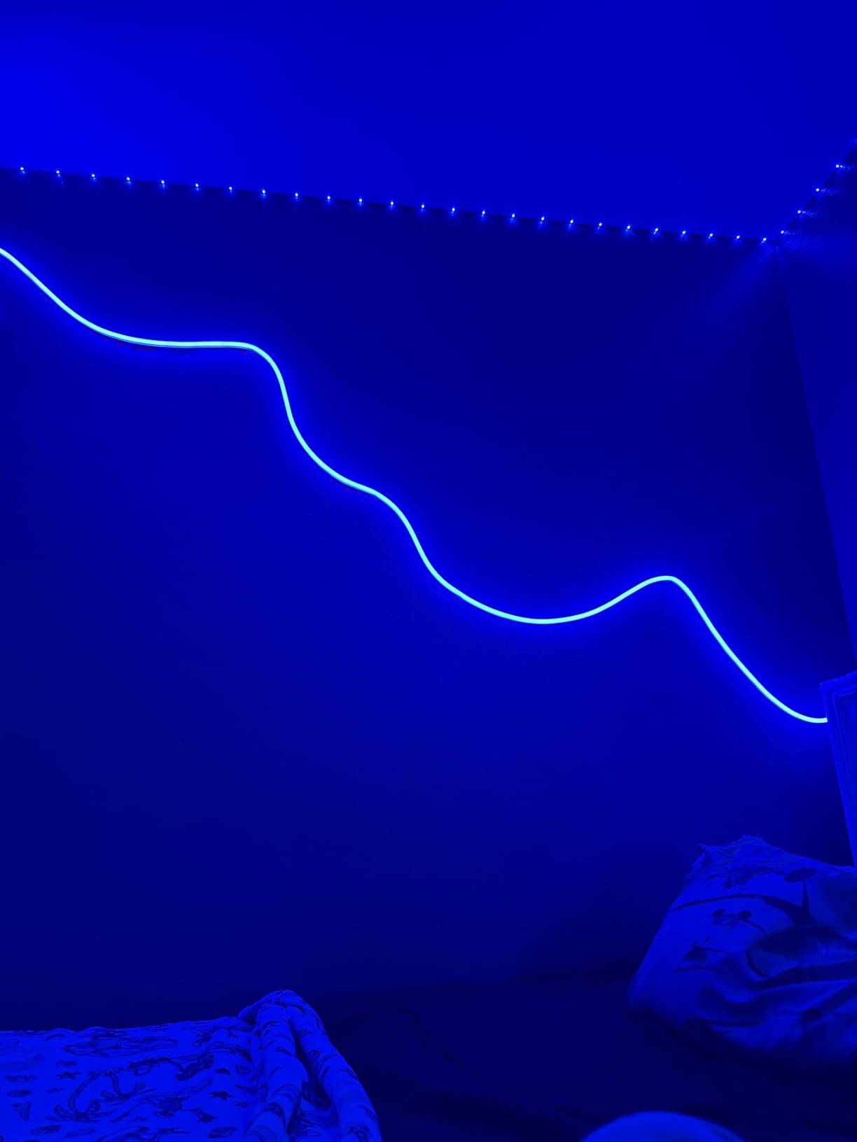 Lepro N1 AI Smart RGB Rope Lights for Christmas, Personalized AI Lighting Designer, LightBeats Music Sync, Color Segment DIY, Voice Control Via App, 32.8ft Wi-Fi & Bluetooth LED Strip Lights Customer Review Lepro N1 AI Smart RGB Rope Lights for Christmas, Personalized AI Lighting Designer, LightBeats Music Sync, Color Segment DIY, Voice Control Via App, 32.8ft Wi-Fi & Bluetooth LED Strip Lights - Customer Photo 2