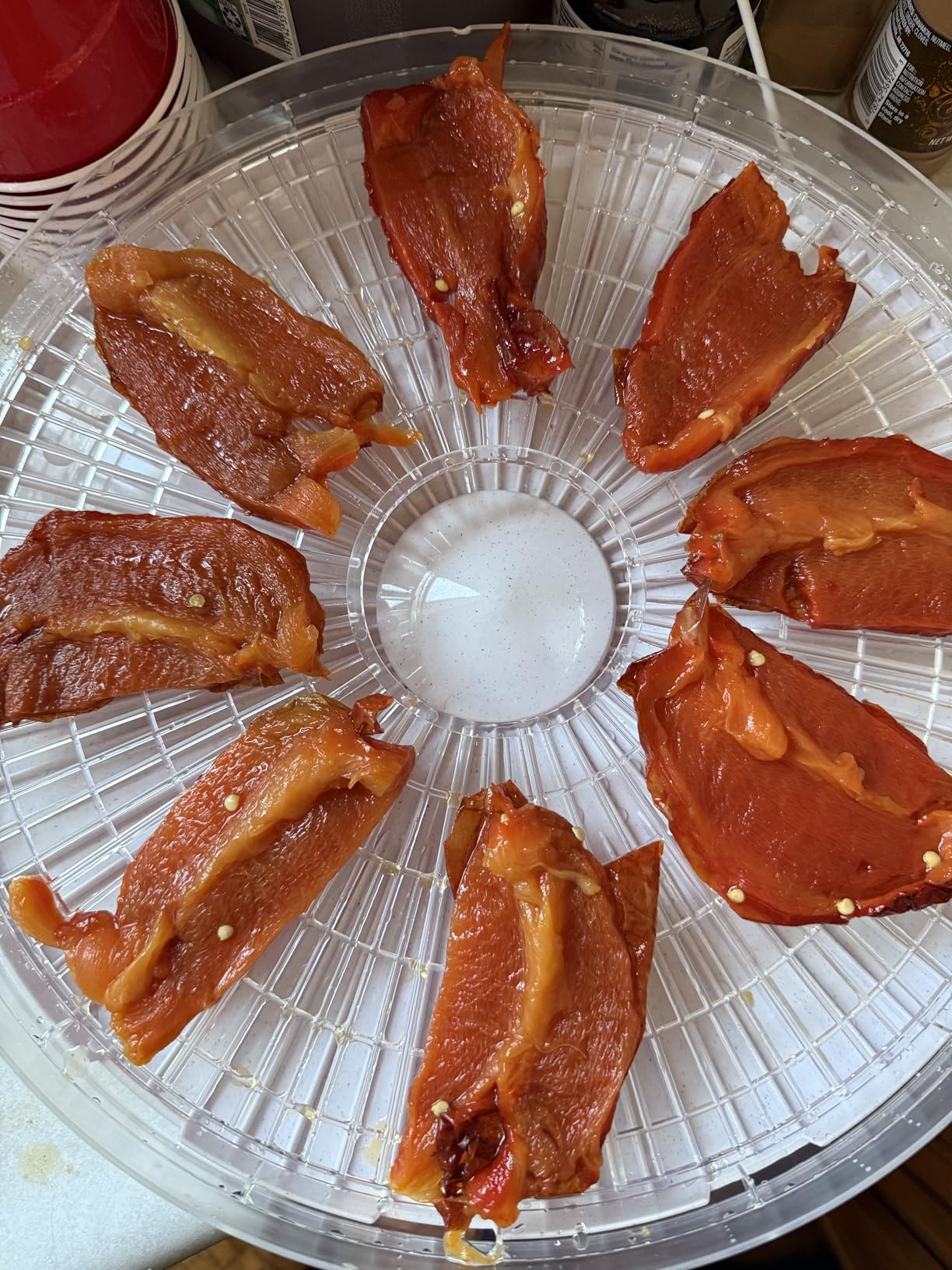 LAMPICK Smoothie Blender, 1100W Personal Blender for Shakes and Smoothies, Blenders and Grinder Combo for Kitchen with 2 * 22 Oz To-Go Cup and Lid for Protein Shake, Baby Food, Frozen Drink - Customer Photo 1