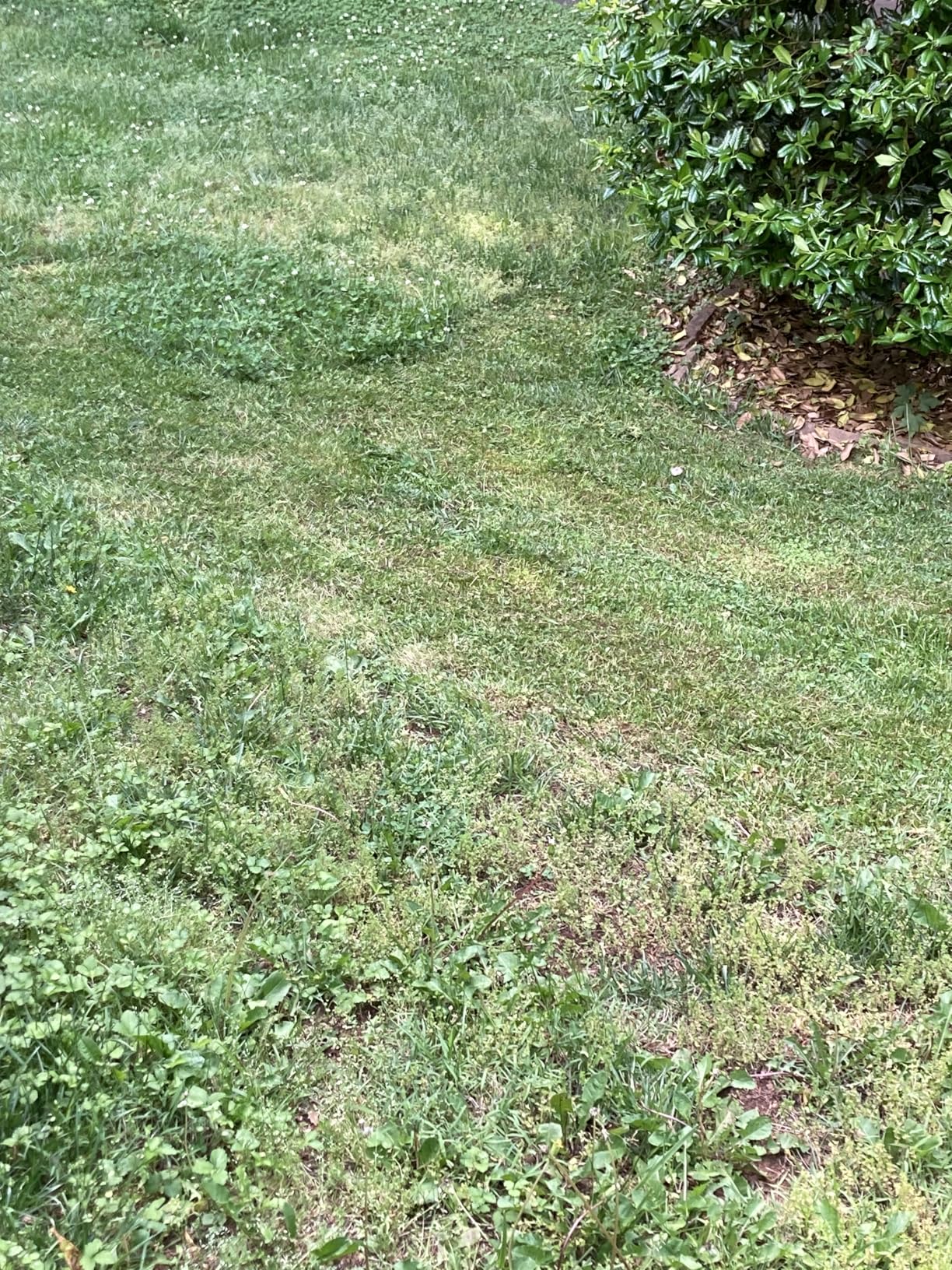 Greenworks 60V 17 Greenworks 60V 17