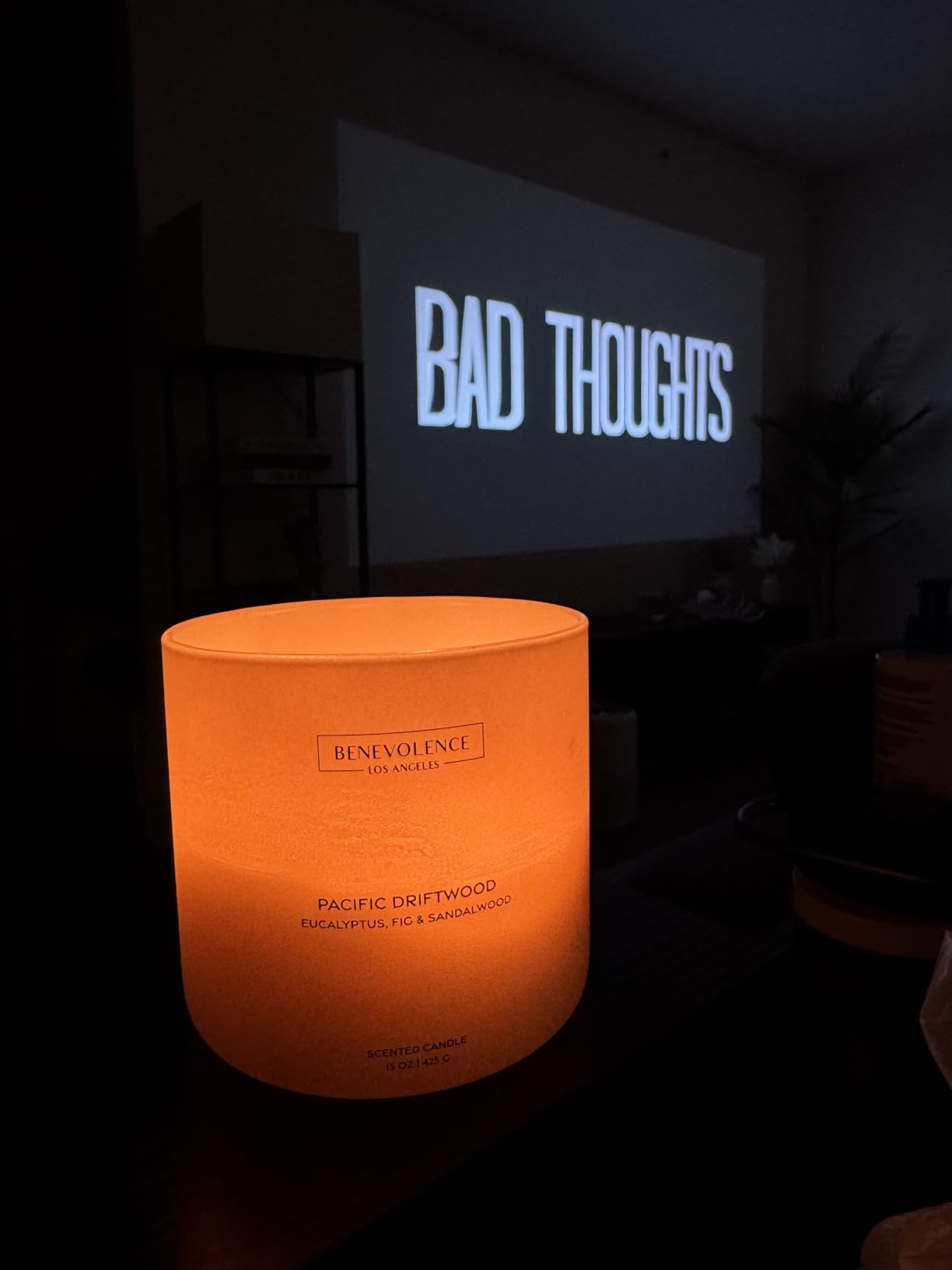 Benevolence LA Candle Gift Set – 6 Fall Scented Candles (1.4 oz) | Aromatherapy Candles with Orange, Eucalyptus, Rose & Jasmine | Cozy Seasonal Gift - Customer Photo 1