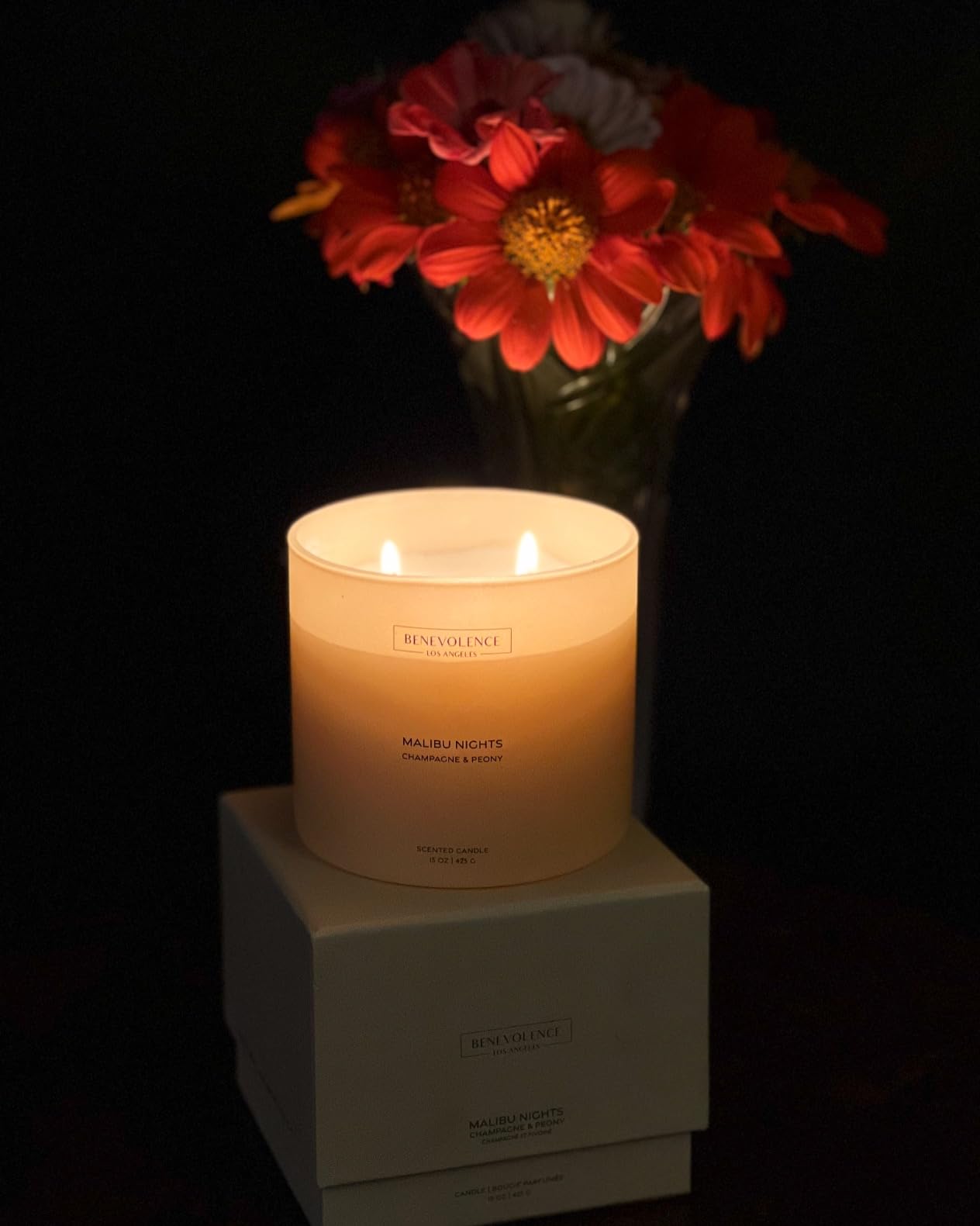 Benevolence LA Candle Gift Set – 6 Fall Scented Candles (1.4 oz) | Aromatherapy Candles with Orange, Eucalyptus, Rose & Jasmine | Cozy Seasonal Gift - Customer Photo 2