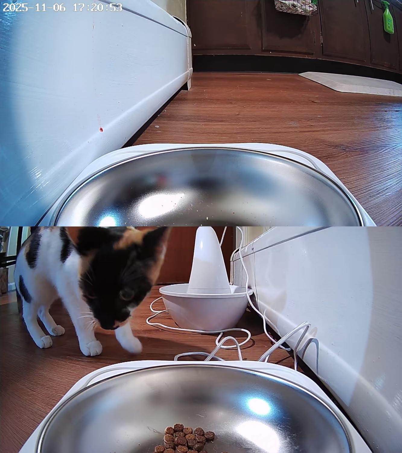 Automatic Cat Feeder with 2K Camera: 5G WiFi Automatic Dog Feeder with Night Vision,Cat Food Dispenser with 7L Large Food Storage Container for Multiple Pet,Detachable for Easy Clean -29 Cup - Customer Photo 5