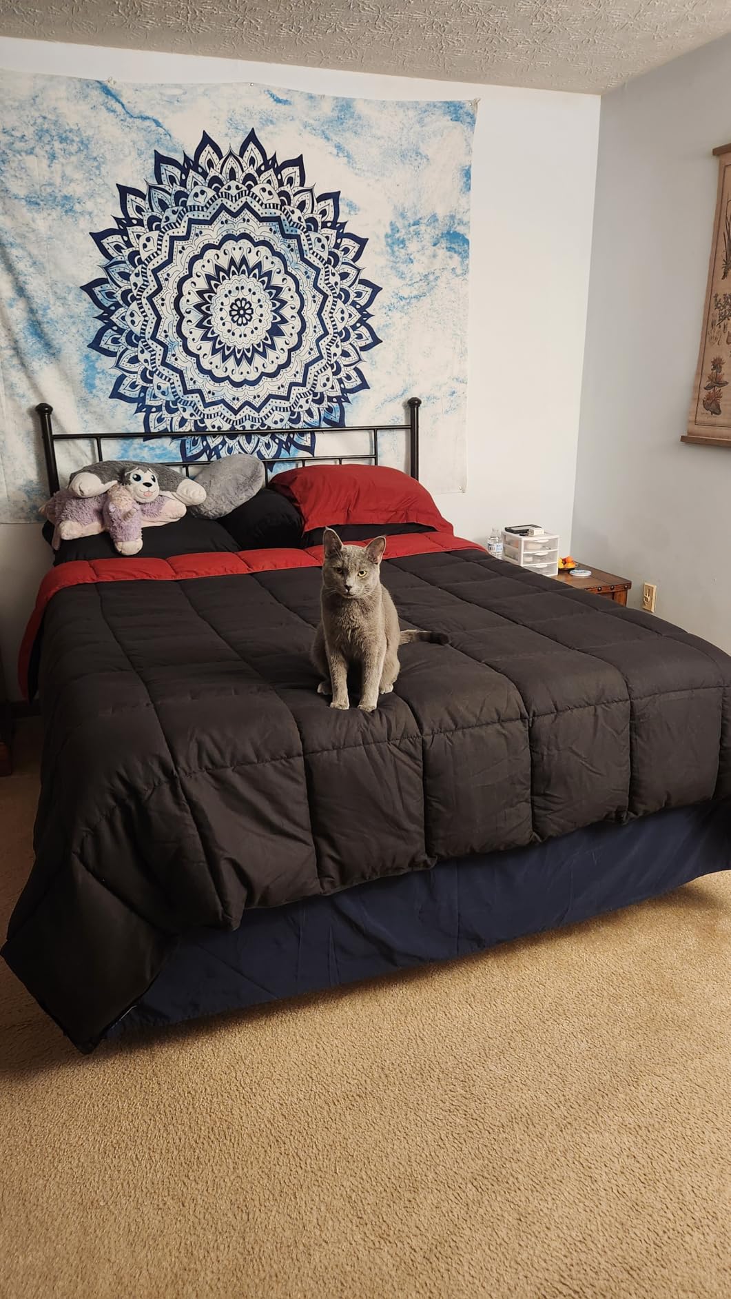 HIG 3pc Red King Size Comforter Set -All Season Reversible Down Alternative Comforter with Two Shams -Quilted Duvet Insert with Corner Tabs - Diamond Stitched Blanket - Breathable, Soft, Fluffy Customer Review HIG 3pc Red King Size Comforter Set -All Season Reversible Down Alternative Comforter with Two Shams -Quilted Duvet Insert with Corner Tabs - Diamond Stitched Blanket - Breathable, Soft, Fluffy - Customer Photo 2