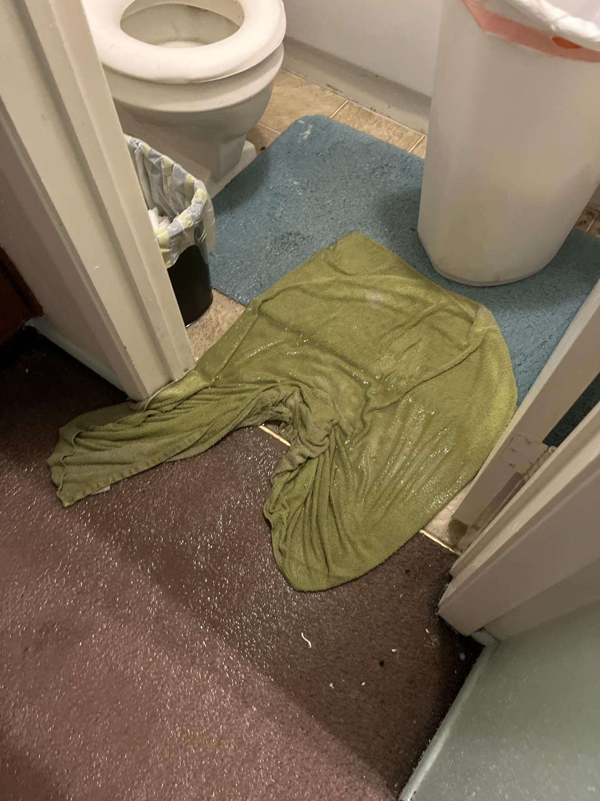 BISSELL TurboClean, Upright Carpet Cleaner, Pro Max Clean & Protect + Oxy Urine Eliminator Formula Included, 3952 - Customer Photo 4