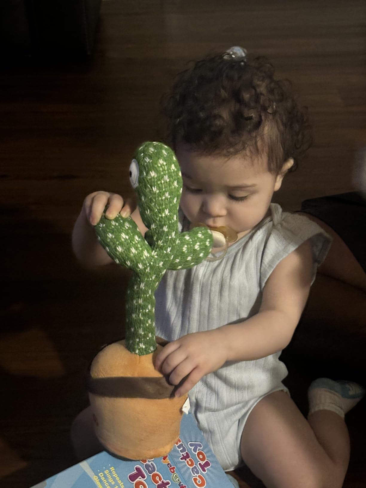 Ayeboovi Dancing Talking Cactus Baby Toys, Interactive Toy Repeating Records What You Say, Volume Adjustable Singing Cactus Toddler Toys with 120 Songs, Stocking Stuffers for Kids - Customer Photo 1