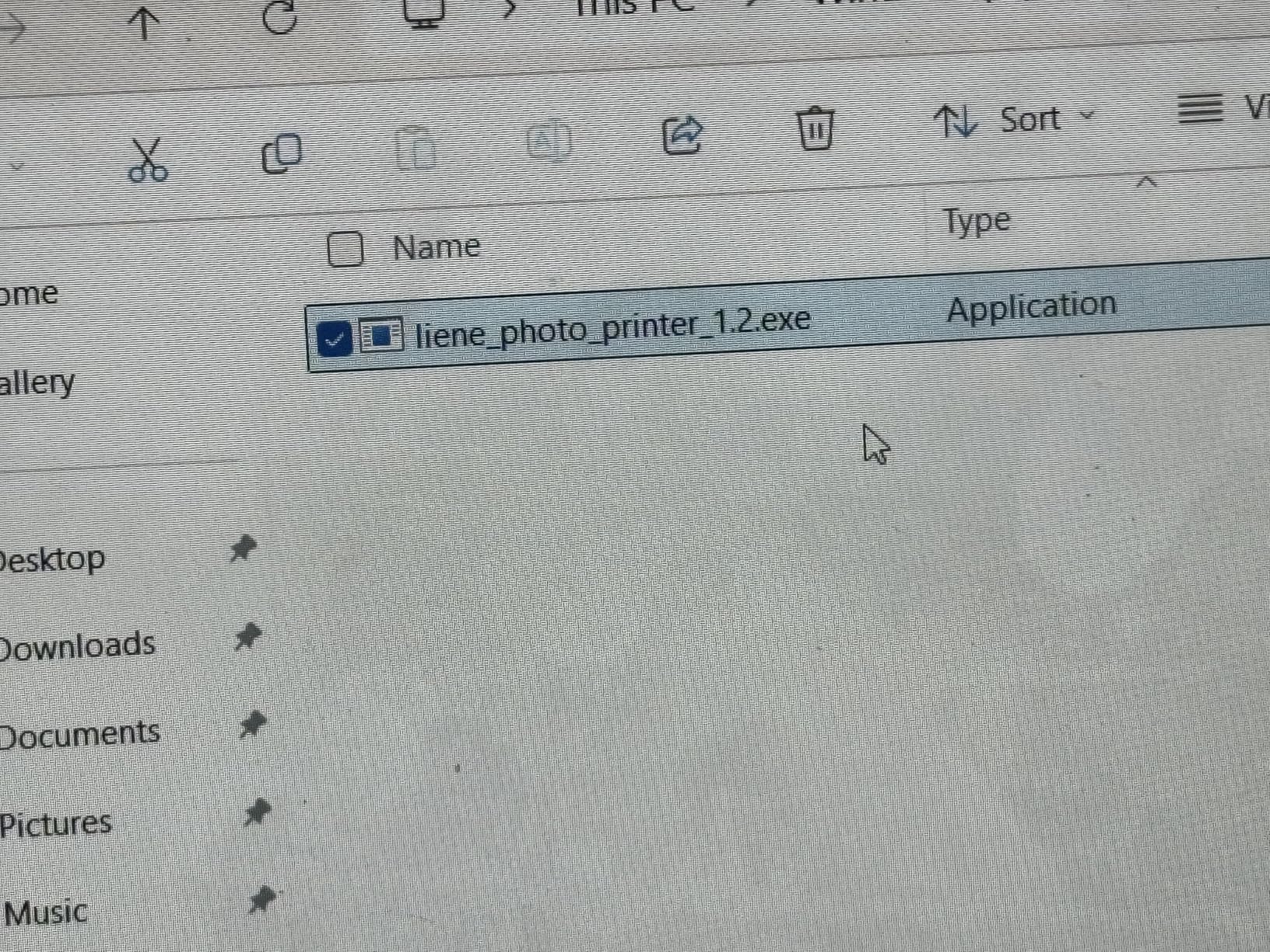 Liene PixCut S1 Color Sticker Printer & Cutting Machine - All-in-One Sticker Maker for DIY Crafts, Custom Labels & Gifts. Thermal Dye-Sublimation Photo Printer, 300 DPI, Precise AI Auto-Cutting - Customer Photo 3