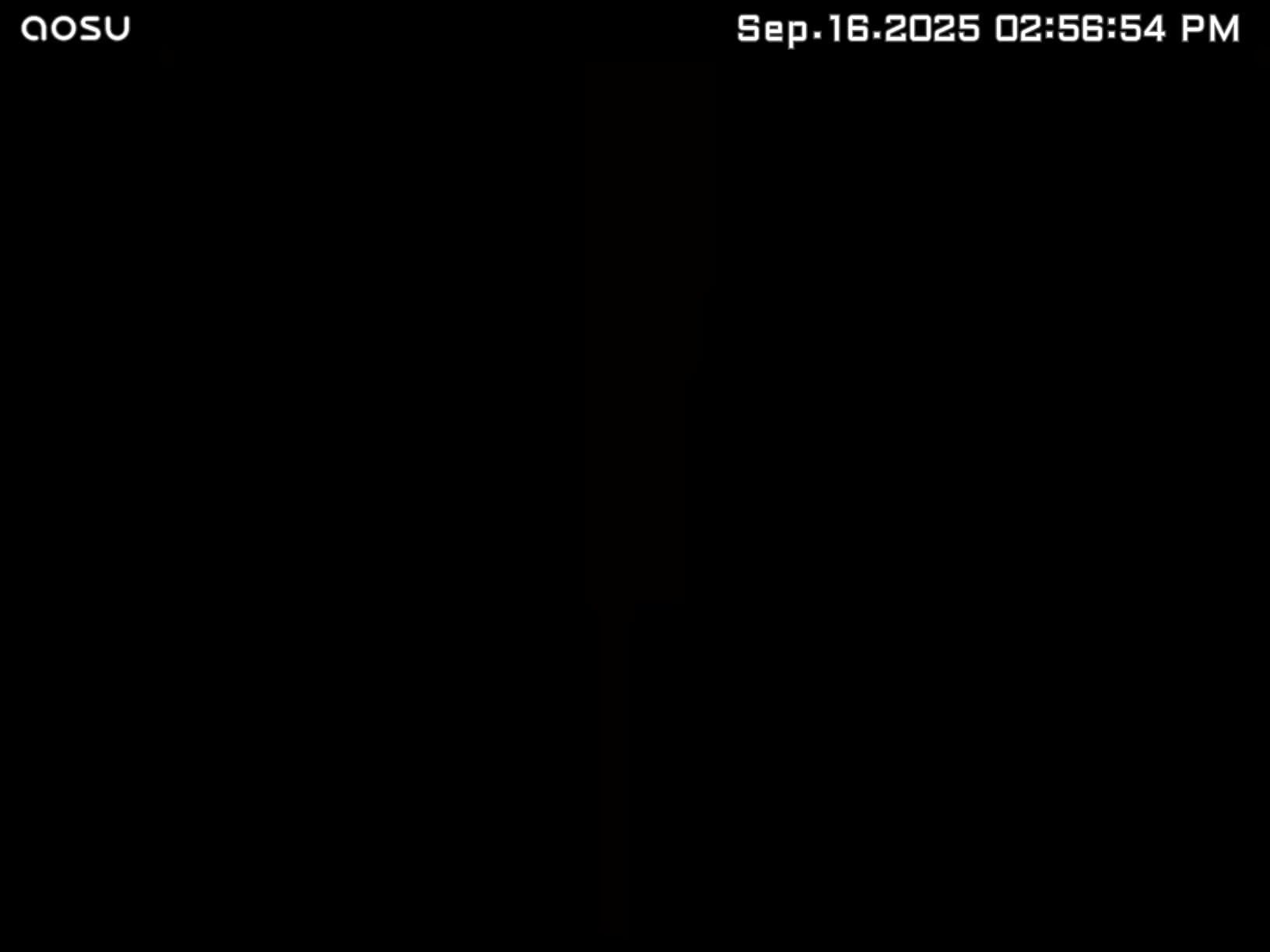 Blink Outdoor 4 – Wireless smart security camera, two-year battery life, 1080p HD day and infrared night live view, two-way talk. Sync Module Core included – 5 camera system - Customer Photo 1