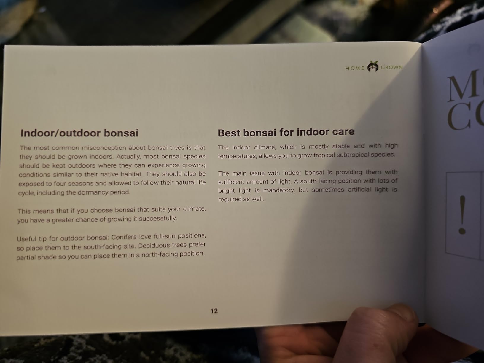 HOME GROWN Bonsai Tree Kit – 6 Heirloom Varieties with Unique Pots – DIY Bonsai Starter Kit for Adults & Beginners – Christmas Gift for Men Women Gardeners Plant Lovers – Indoor Growing Kit - Customer Photo 4