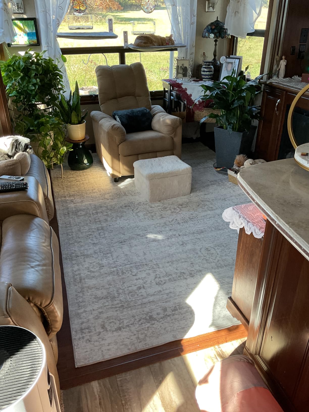 Washable Rugs 8x10 Area Rugs for Living Room,Ultra Soft Faux Wool Retro Rugs for Bedroom,Dining Room,Non Slip&Non-Shedding Low Pile Vintage Print Rug Indoor Large Carpets for Home Office Decor - Customer Photo 2