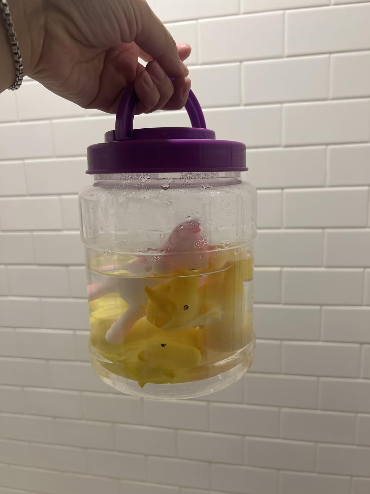 Coodoo Unicorn Hatching Rainbow Eggs for Kids - 6 Pack Unicorn Toys Craft Kits for Boys & Girls, Birthday Easter Basket Stuffers Crafts Gift for Kids 3+ Year Old - Girl Gifts for Ages 3 4 5 6 7 8 - Customer Photo 3