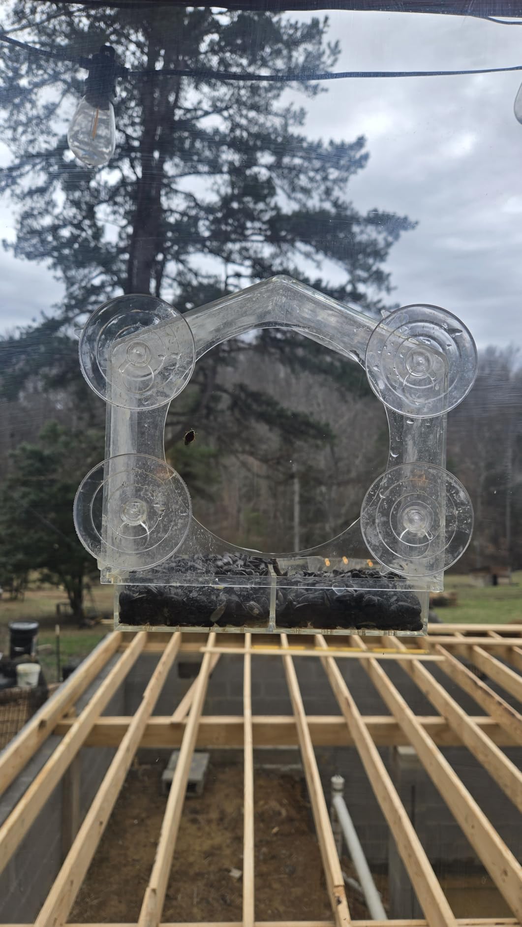 VISIOGEAR Clear Window Bird Feeder with Strong Suction Cups, Sturdy and Durable Acrylic Bird Feeders for Viewing Wild Bird Outside, Bird Watching Gift, Outdoor Bird Feeder for Garden Decor - Customer Photo 2