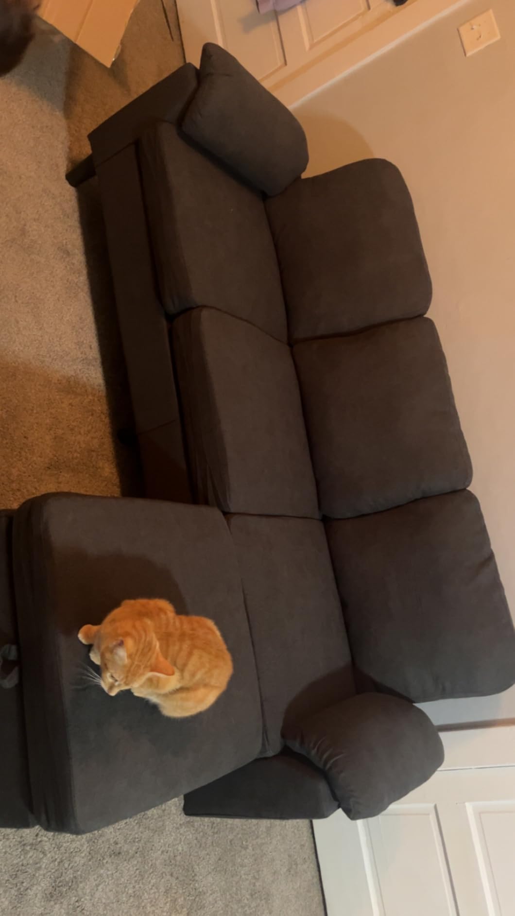 Vongrasig Convertible Sectional Couches, 3 Seat L Shaped Couch Sofa with Removable Pillows Soft Corduroy Fabric Small Couch Mid Century for Living Room, Apartment and Office Black - Customer Photo 1