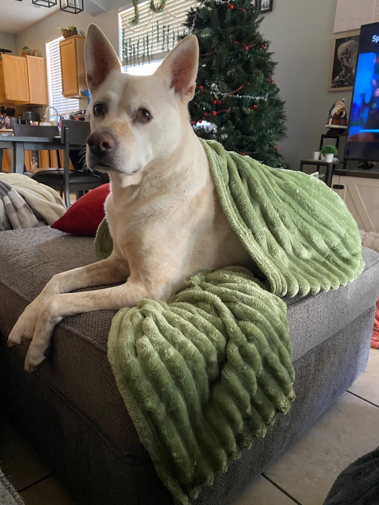 Self Care Gifts for Women Get Well Soon Gift Baskets for Women Thinking of You Gifts for Women Spa Gift Baskets for Women Self Care Kit for Women Relaxation Gifts Box for Women Care Package for Women - Customer Photo 4