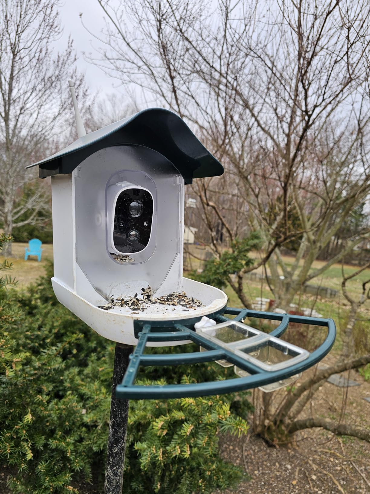 Smart Bird Feeder with Camera,AI Identify Bird Species,Auto Record 2K Video in Backyard Garden,Live View,Solar Powered Charging,Ideal Gifts for Family and Lovers (Blackish Green) - Customer Photo 1