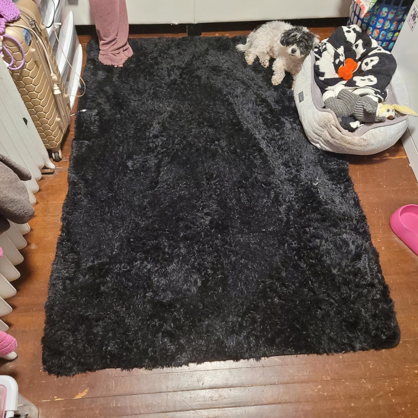 5x7 Black Area Rugs for Living Room, Large Fluffy Shag Bedroom Rugs Non-Slip, Ultra Soft Plush Carpet for Nursery Kids PlayRoom Dorm Office Indoor Modern Carpets - Customer Photo 4