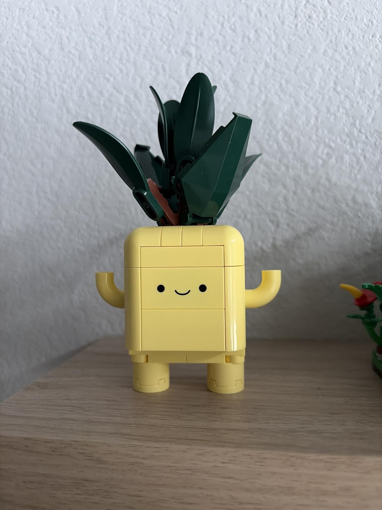 LEGO Botanicals Happy Plants Building Toys - Bedroom or Dorm Room Decor for Girls, Boys, & Adults, Desk or Shelf Display - Stocking Stuffers & Gift for Christmas - 10349 - Customer Photo 4