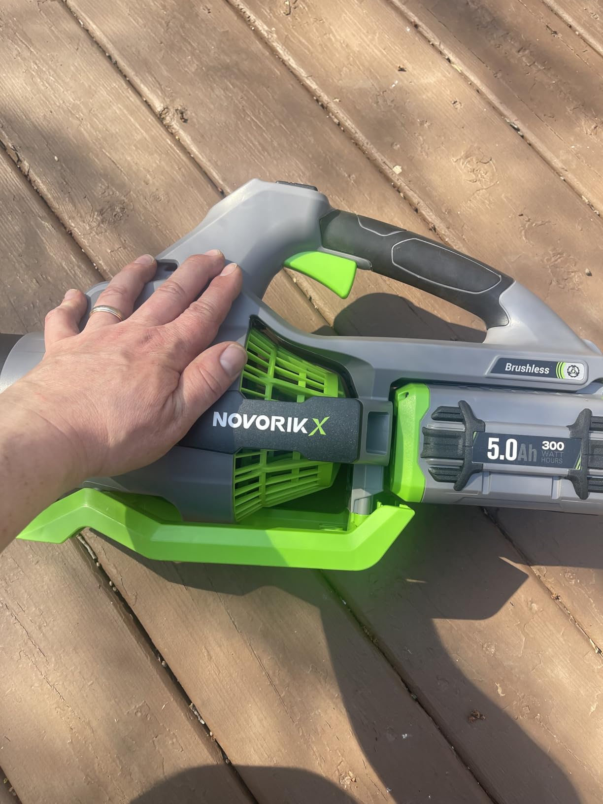 NovorikX Leaf Blower,60-Volt 810 CFM Brushless Electric Cordless Leaf Blower,5.0Ah Battery and Charger, Lightweight Leaf Blowers for Patio Care Customer Review NovorikX Leaf Blower,60-Volt 810 CFM Brushless Electric Cordless Leaf Blower,5.0Ah Battery and Charger, Lightweight Leaf Blowers for Patio Care - Customer Photo 1