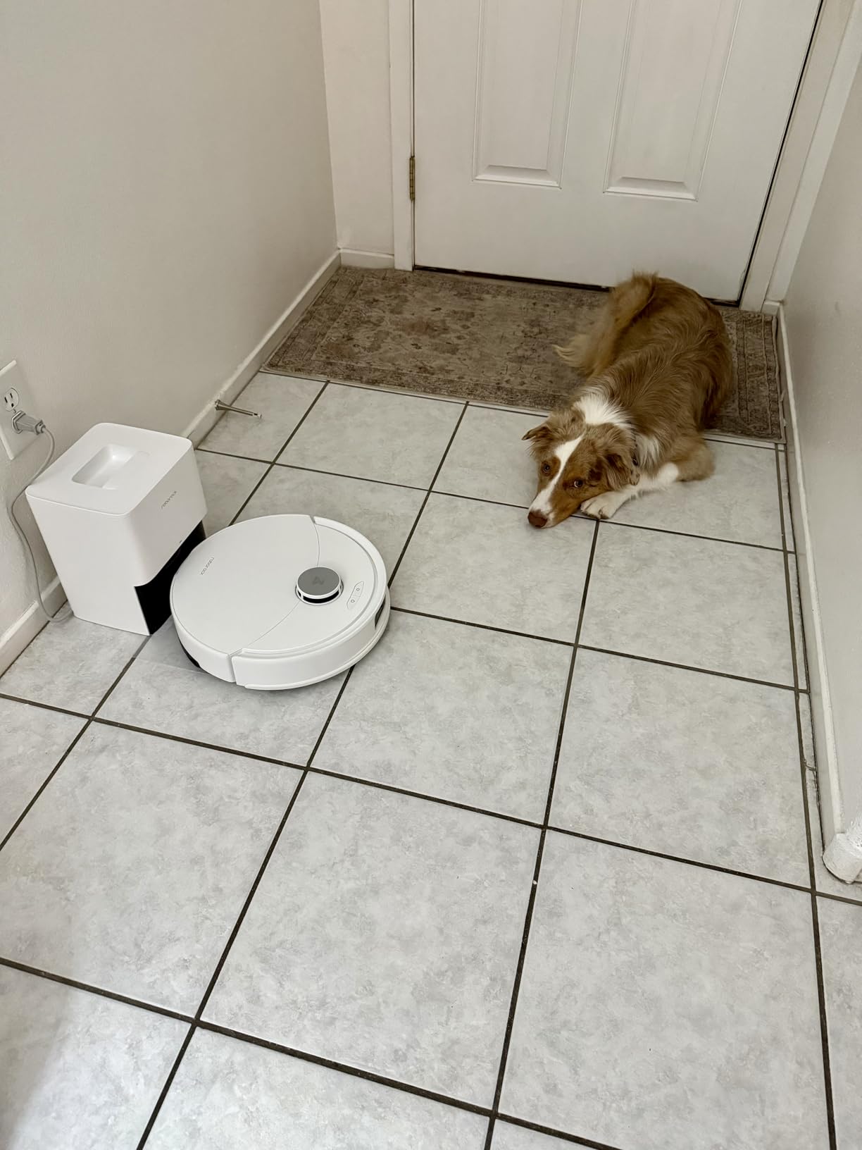 roborock Q10 S5 Robot Vacuum and Mop Cleaner, 10000Pa HyperForce Suction, Dual Anti-Tangle System, Auto-Lifting Mop, ReactiveTech Obstacle Avoidance, App Control, for Pet Hair and Carpet, Black - Customer Photo 2