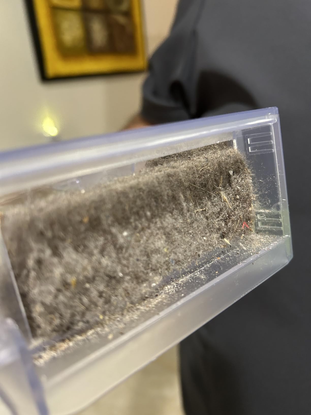 roborock Q10 S5 Robot Vacuum and Mop Cleaner, 10000Pa HyperForce Suction, Dual Anti-Tangle System, Auto-Lifting Mop, ReactiveTech Obstacle Avoidance, App Control, for Pet Hair and Carpet, Black - Customer Photo 5