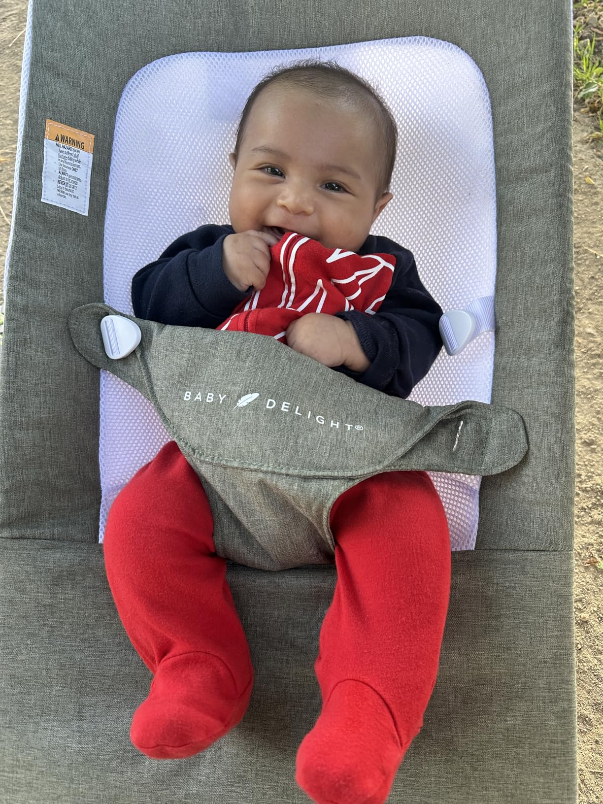 Baby Delight Highland Baby Bouncer | Infant | 0 – 6 Months | 3-Position Recline | Sage Tweed - Customer Photo 1