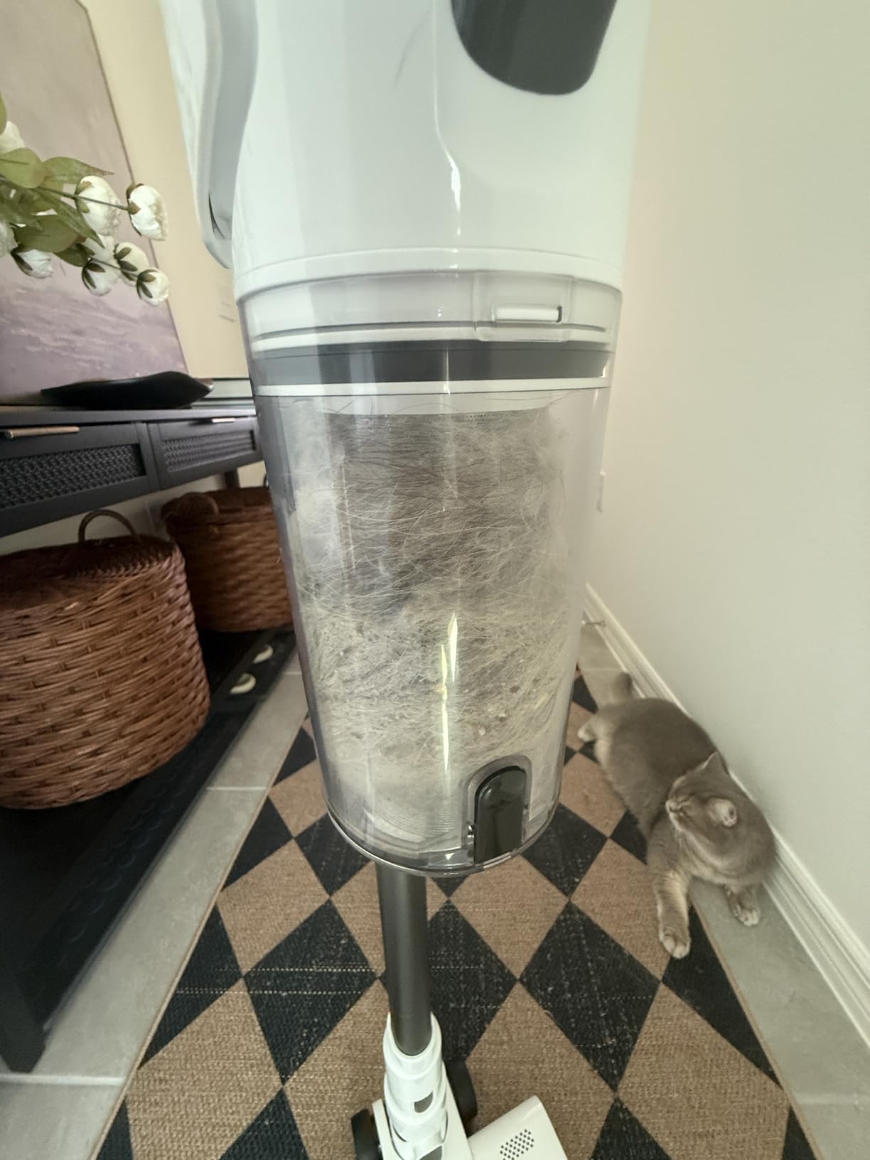 Cordless Vacuum Cleaner, 600W 50KPA 65Mins Runtime Fast Charging Vacuum Cleaner, Self-Standing LED Light Touch Screen Stick Vacuum for Home Light Weight,for Pet Hair/Carpet/Floor, White - Customer Photo 1