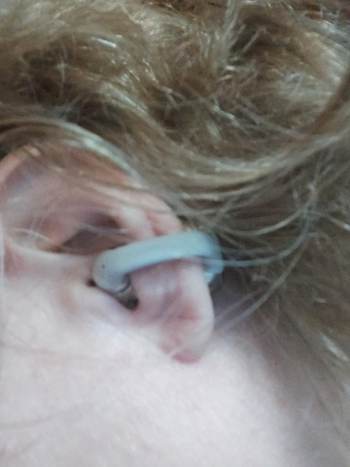 SHOKZ OpenDots ONE-Open-Ear Headphones, Clip-On Earbuds-Wireless Bluetooth Earbuds with Microphone-Secure, Lightweight, Comfort-Premium Dolby Audio-Water Resistant-Fast Charging-Up to 40 hrs Playtime Customer Review SHOKZ OpenDots ONE-Open-Ear Headphones, Clip-On Earbuds-Wireless Bluetooth Earbuds with Microphone-Secure, Lightweight, Comfort-Premium Dolby Audio-Water Resistant-Fast Charging-Up to 40 hrs Playtime - Customer Photo 1