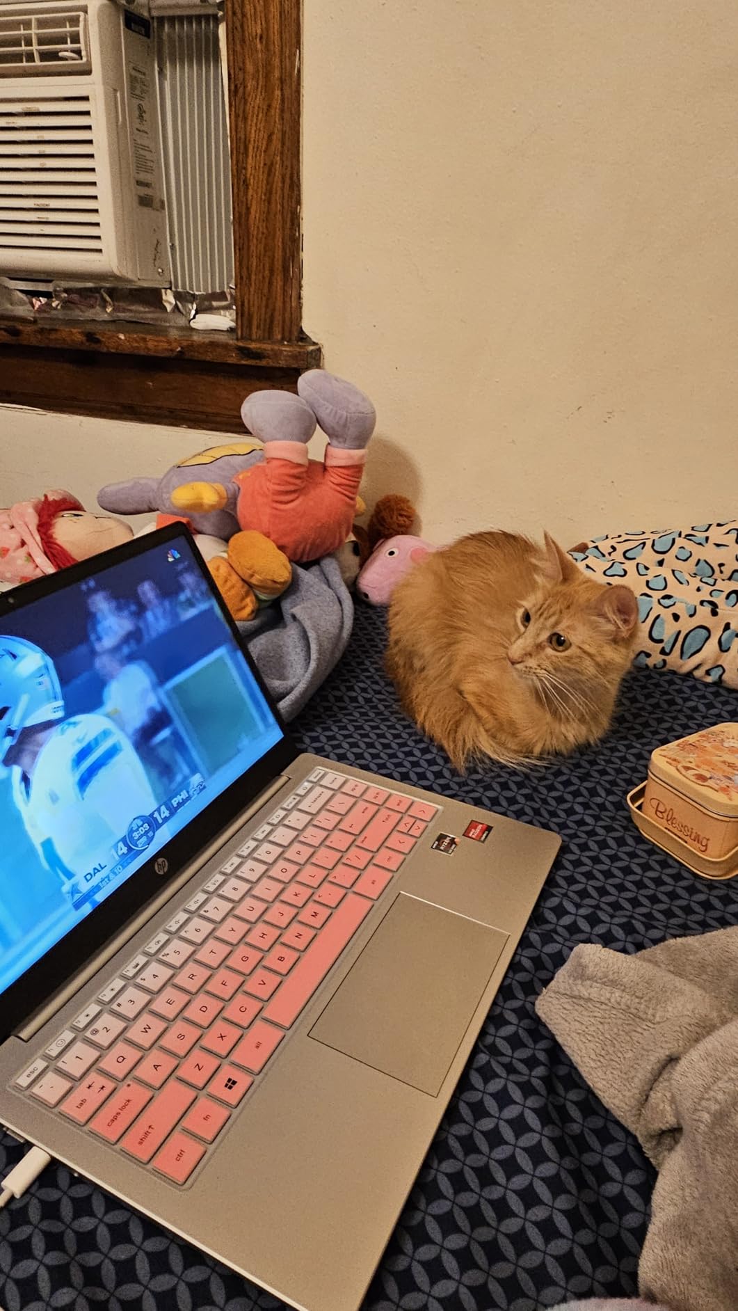 HP 14 inch Laptop, HD Touchscreen Display, AMD Ryzen 5 7520U, 8 GB RAM, 512 GB SSD, AMD Radeon Graphics, Windows 11 Home, Natural Silver, 14-em0499nr - Customer Photo 1