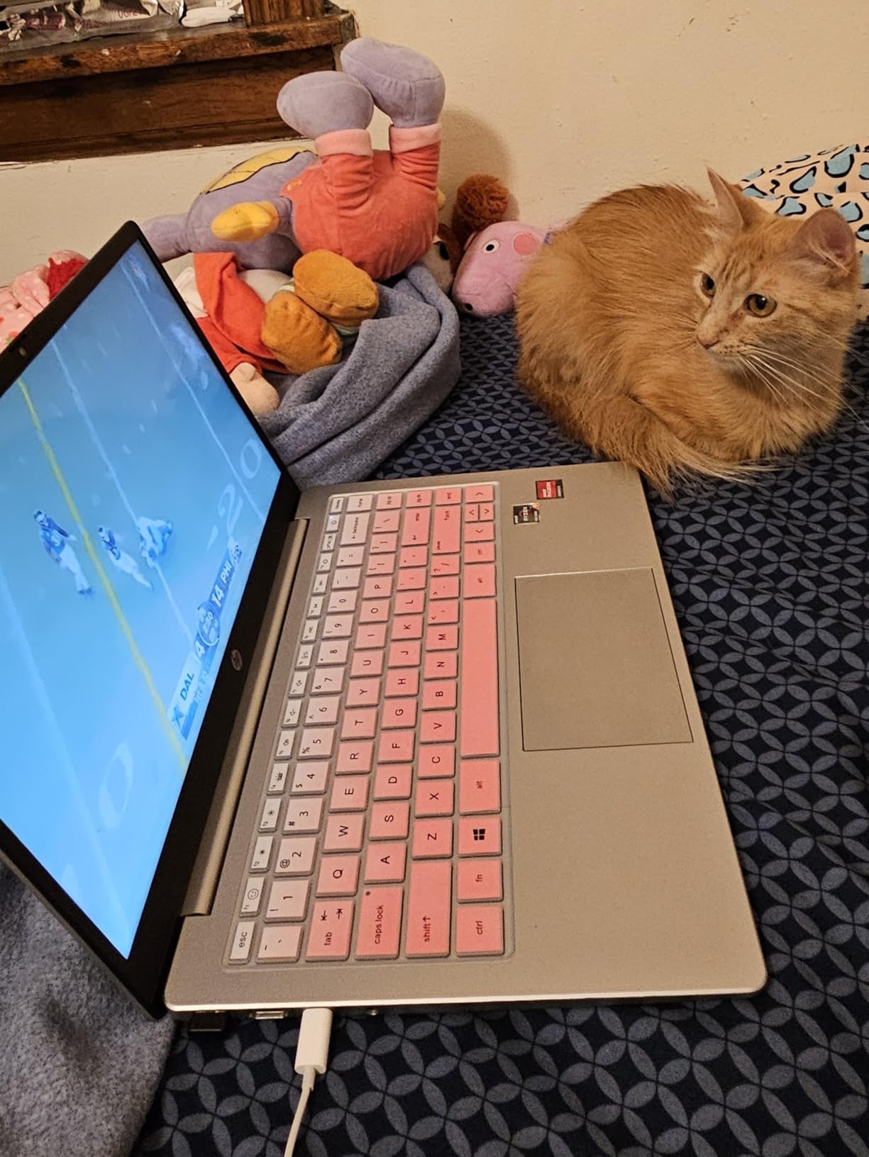 HP 14 inch Laptop, HD Touchscreen Display, AMD Ryzen 5 7520U, 8 GB RAM, 512 GB SSD, AMD Radeon Graphics, Windows 11 Home, Natural Silver, 14-em0499nr - Customer Photo 2