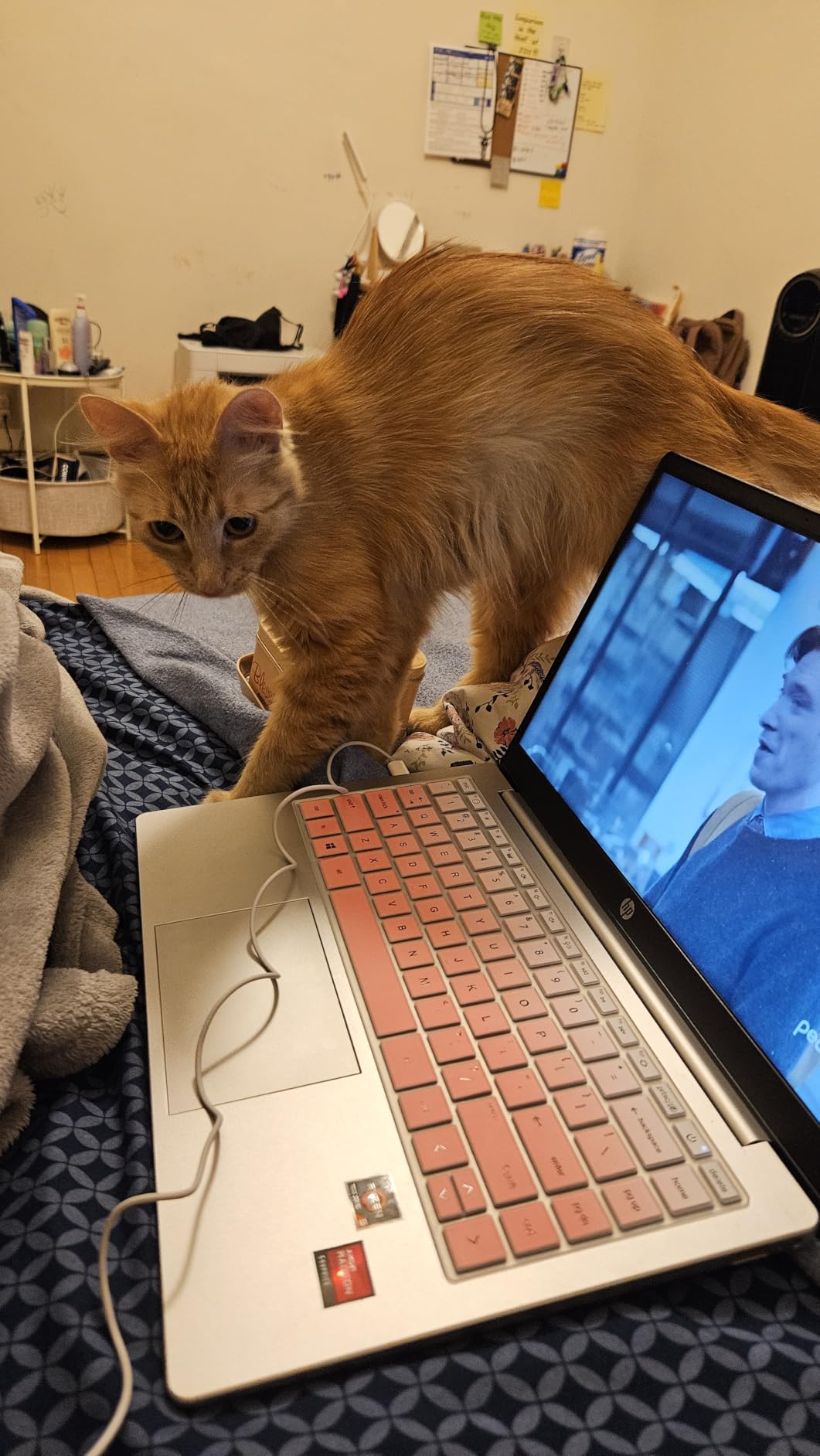 HP 14 inch Laptop, HD Touchscreen Display, AMD Ryzen 5 7520U, 8 GB RAM, 512 GB SSD, AMD Radeon Graphics, Windows 11 Home, Natural Silver, 14-em0499nr - Customer Photo 4