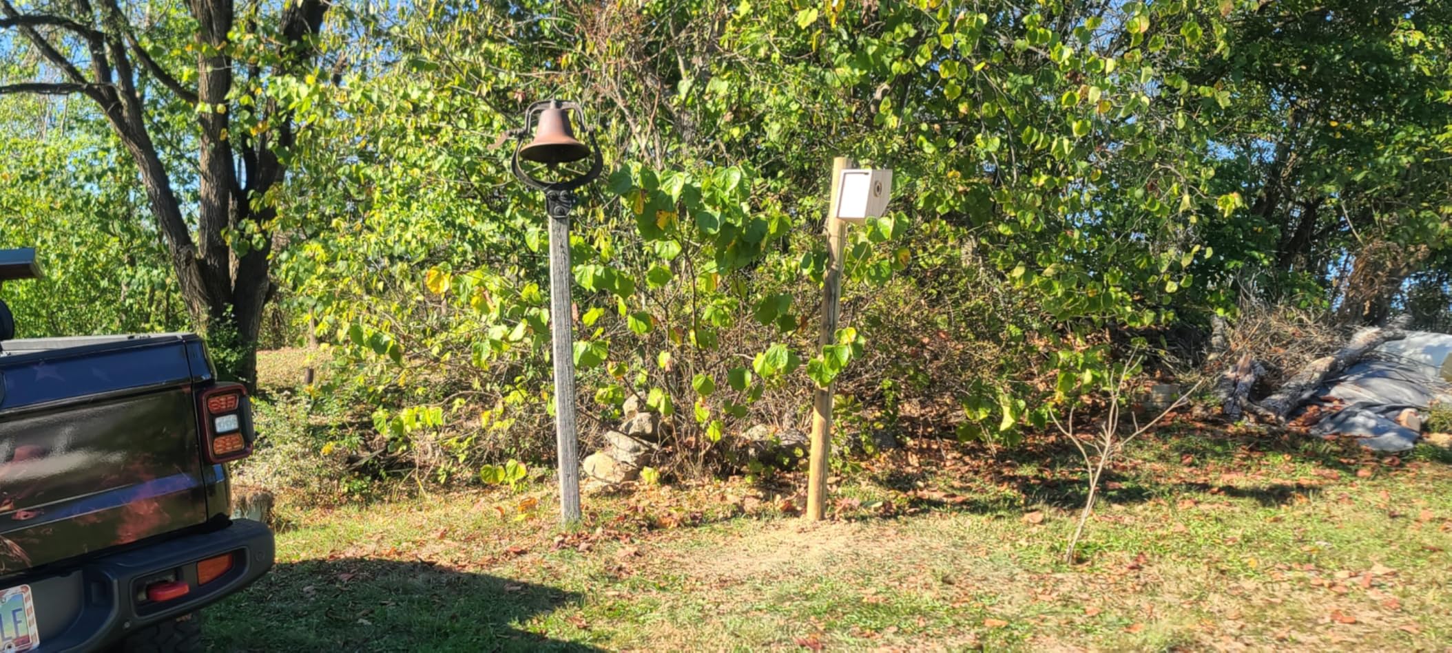 Birdfy Smart Bird House with Camera | Lifetime AI Identify | Auto-Record Nesting Stages & Alerts | Remote Control | Night Vision | Battery & Solar Outdoor-Ready, Ideal For Nesting Watching Enthusiasts - Customer Photo 1