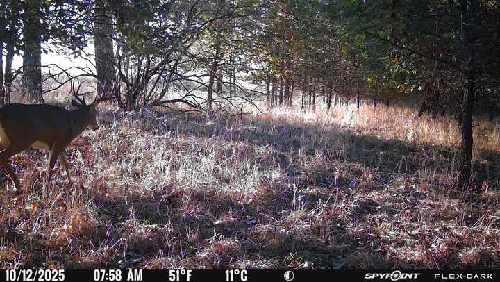 SPYPOINT Flex-Dark Twin Starter Pack with 2 SD Card - Cellular Trail Camera, 40MP Photos, 1080p Video + Sound, No-Glow Game Camera, Hunting Night Vision, Motion Activated,100ft Detection - Customer Photo 1