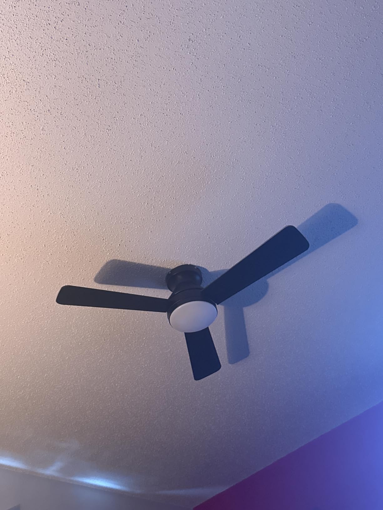 Ceiling Fans with Lights, 42 Inch Low Profile Ceiling Fan with Light and Remote Control, Reversible, LED Dimmable for Bedroom Living Room Indoor/Outdoor Patio Use - Customer Photo 1