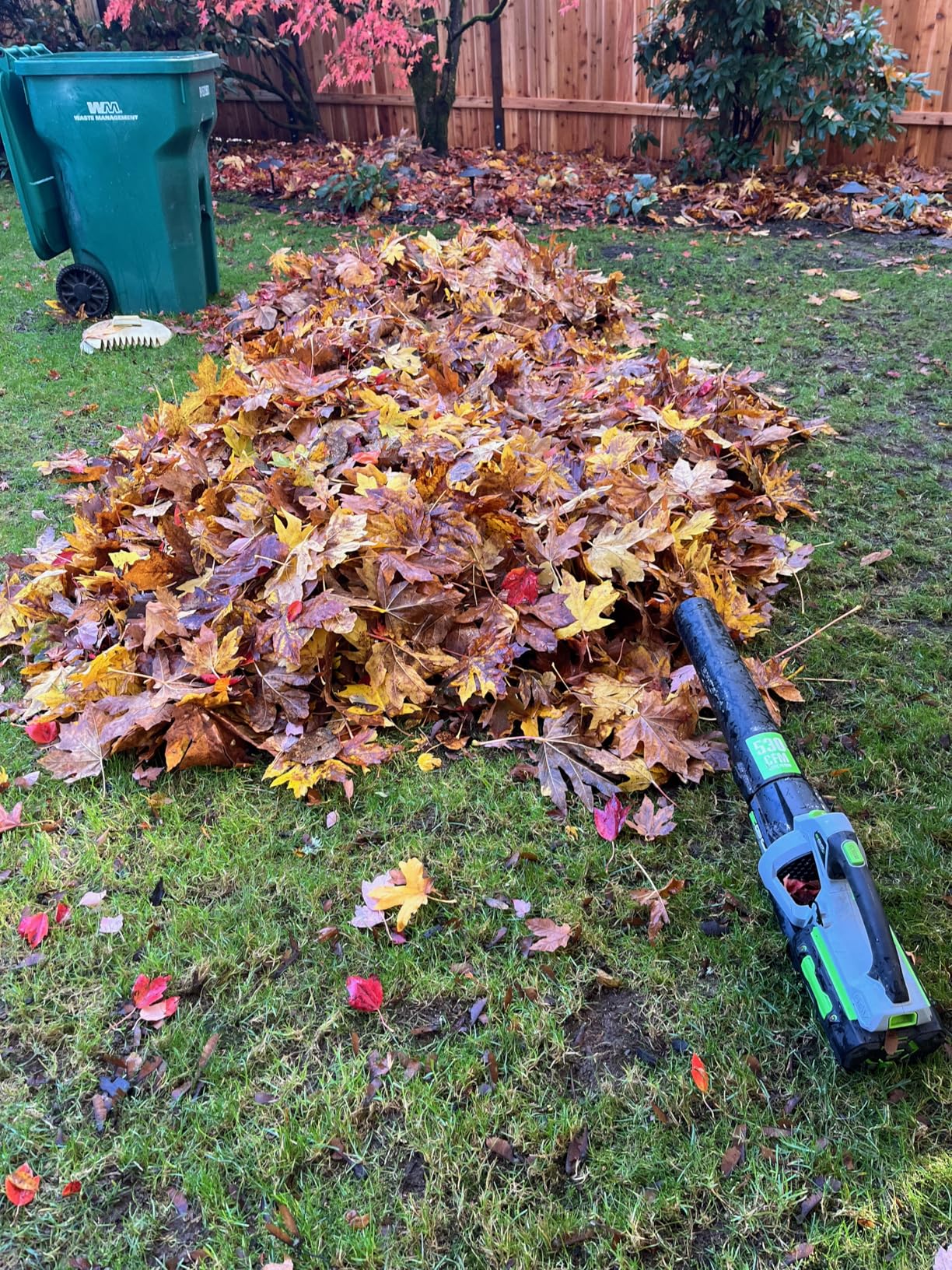 EGO POWER+ Combo, Cordless Trimmer and Blower, 15