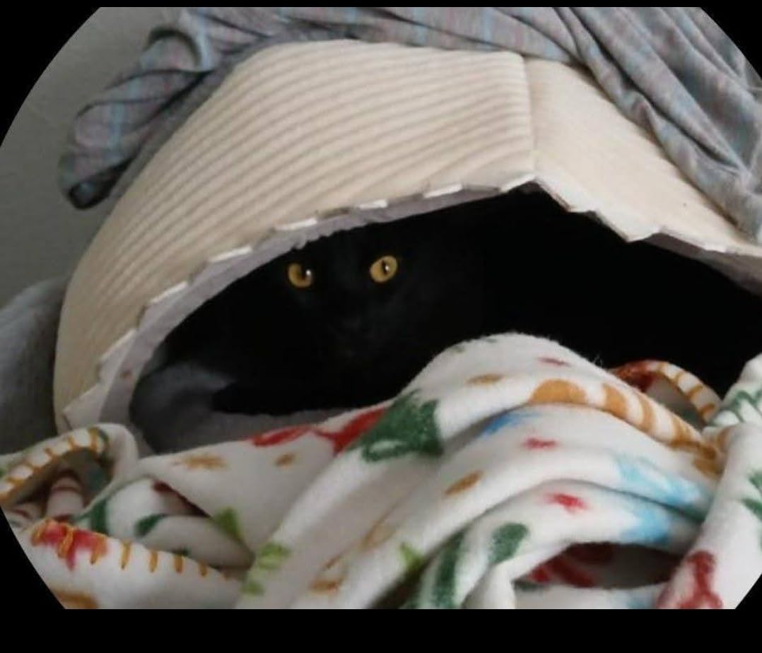 Space Heater, WINHL Small Portable Electric Heaters for Indoor Use with Thermostat and Remote, 70°Oscillation, 12H Timer, 5 Modes, 1500W PTC Ceramic Fast Safety Heat for Office Bedroom Home - Customer Photo 1