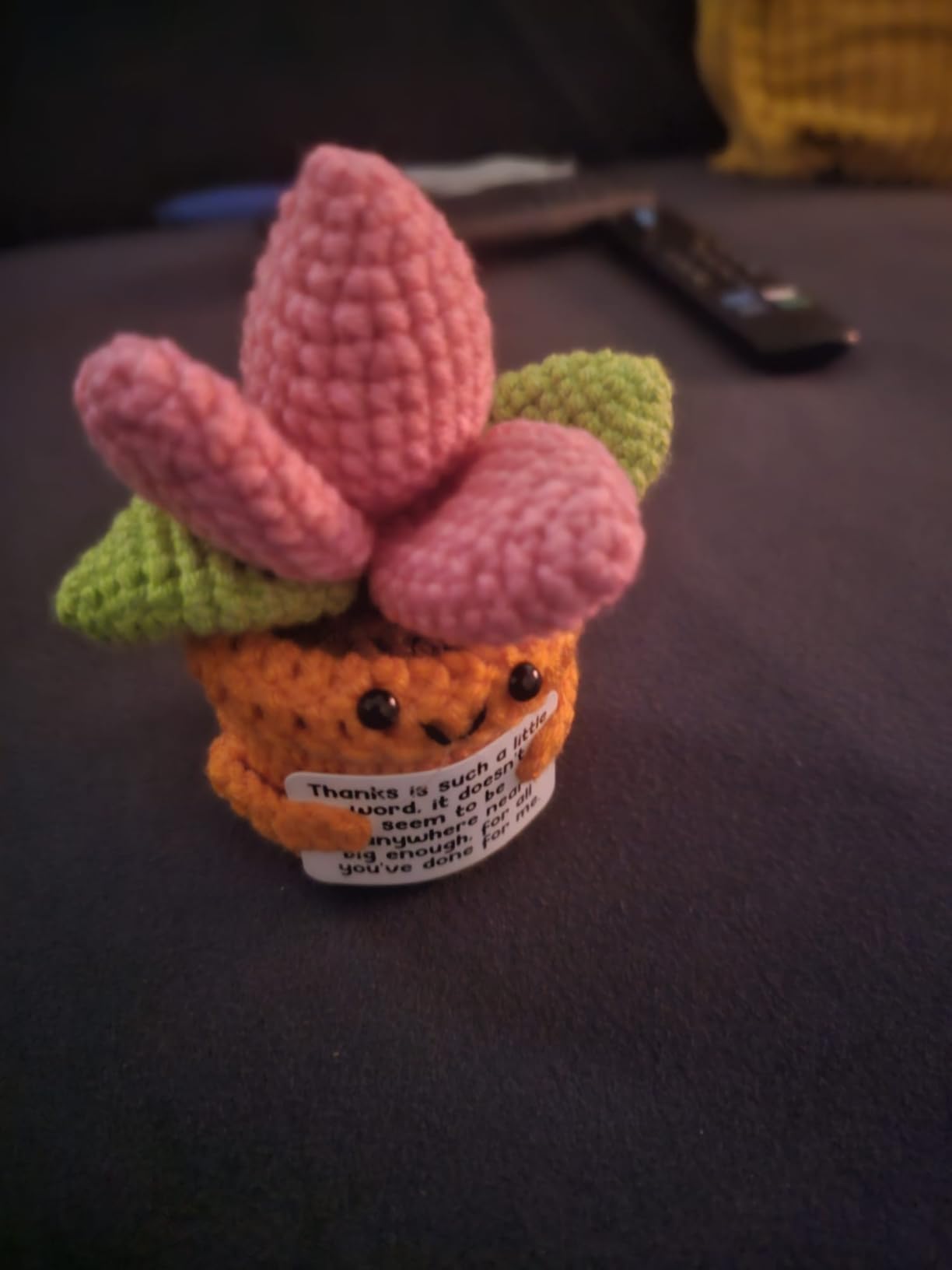 Funny Coworker Leaving Gift – Crochet Succulent Plush with Humor Message – Farewell Gift for Women Who are Quitting, Burned Out, or Betrayed, Supportive Decor for Divorce, Heartbreak,Goodbye, Breakup - Customer Photo 1