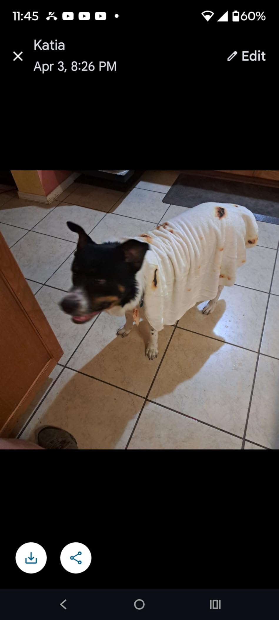 85in Pepperoni Pizza Blanket White Elephant Gifts for Adults Useful Sausage Throw Blankets Woemn Men Party Cool Stuff Novelty Gag Soft Fleece Wrap - Customer Photo 4