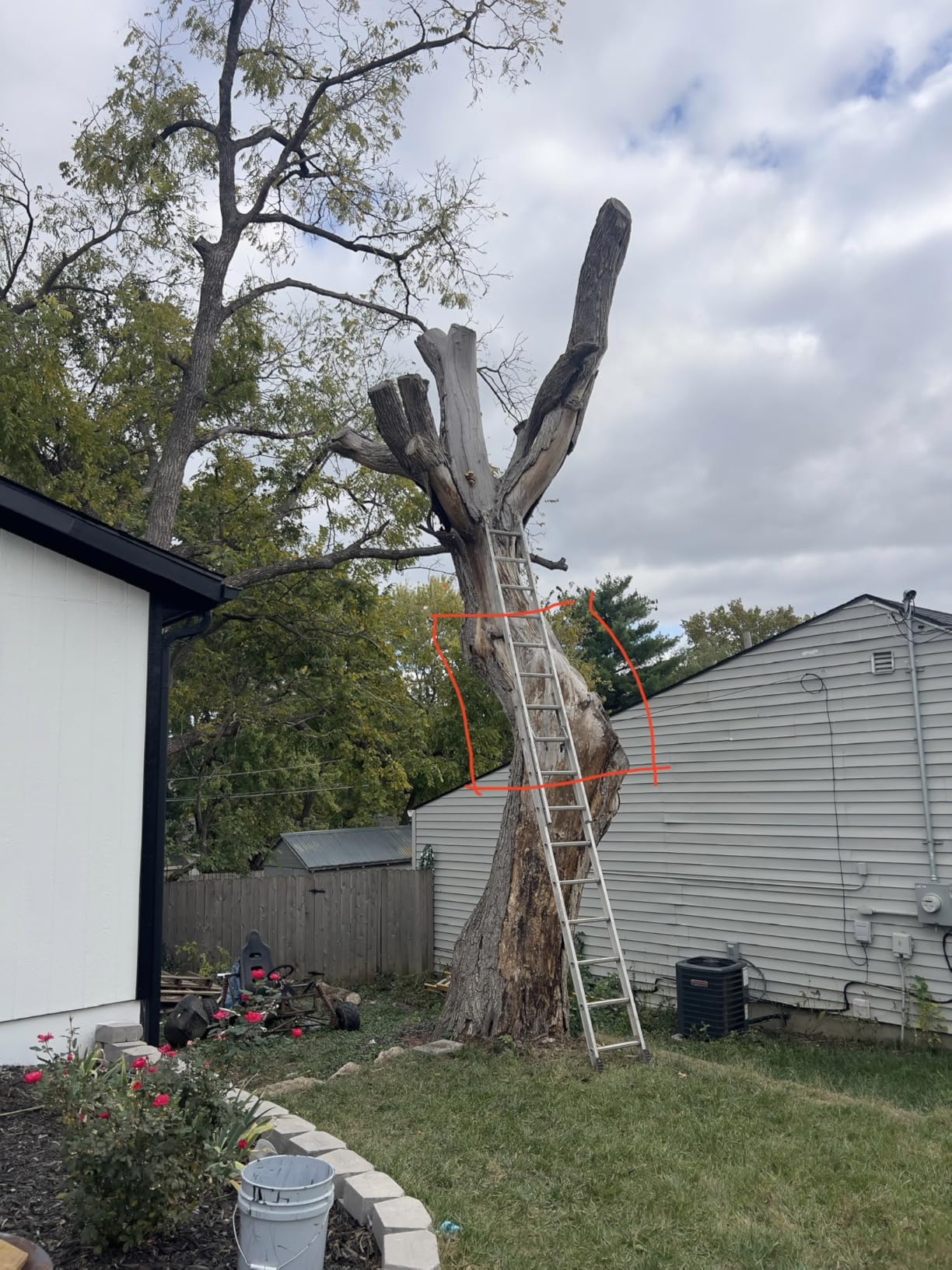 VEVOR 20inch 62CC Gas Powered Chainsaw, 3.8 HP 2 Stroke Engine Gas Power Chainsaws with Non-Slip Handle, Gas Chainsaws with Dual Fuel Tanks - Customer Photo 1
