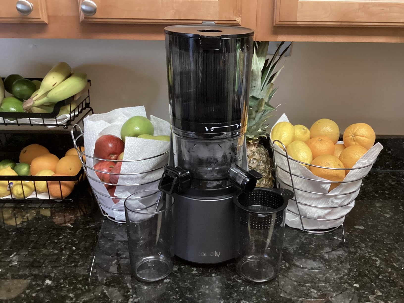 Canoly C16 Cold Press Juicer, 6