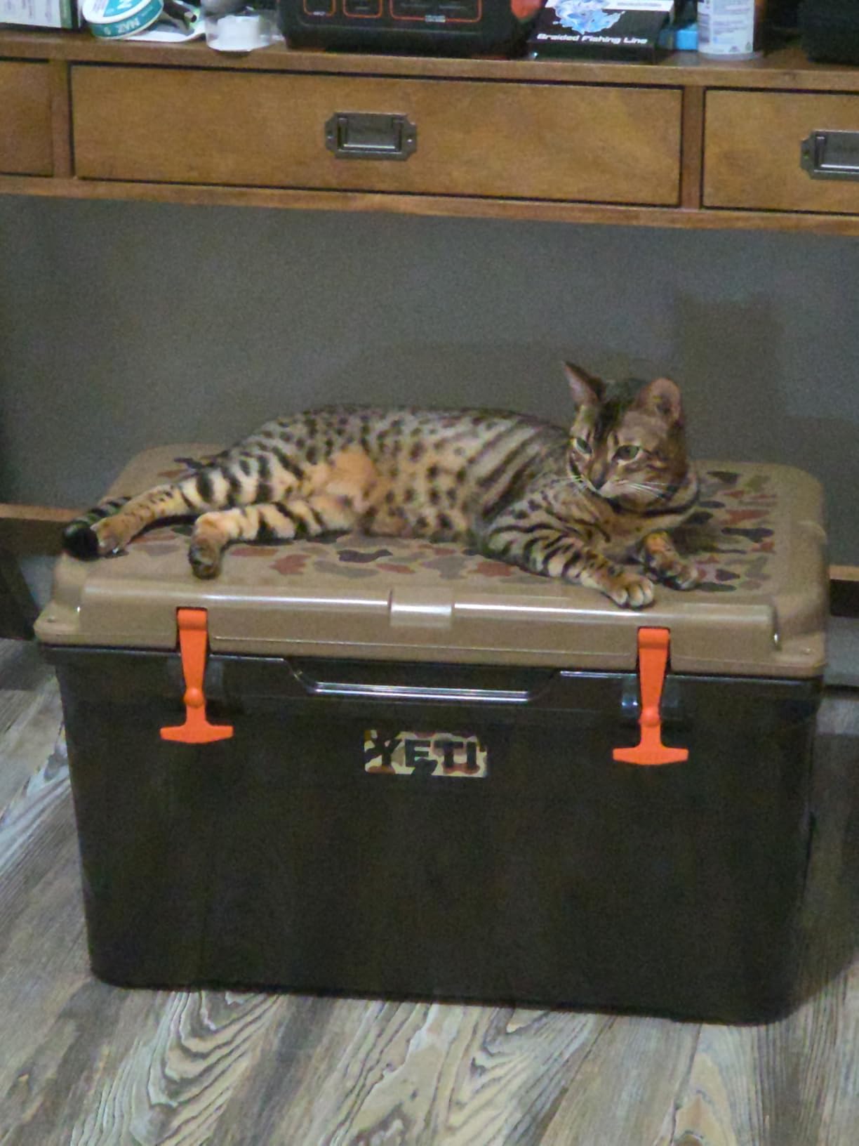 YETI Tundra 45 Cooler - Customer Photo 1