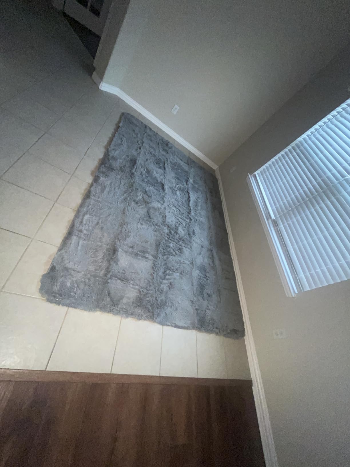 8x10 Area Rug for Living Room:Ultra Soft Fluffy Shag Black Rugs,Large Fuzzy Plush Indoor Non Slip Carpet Washable Rug for Bedroom Kids Nursery Office Dorm Modern Decor(Black) - Customer Photo 1