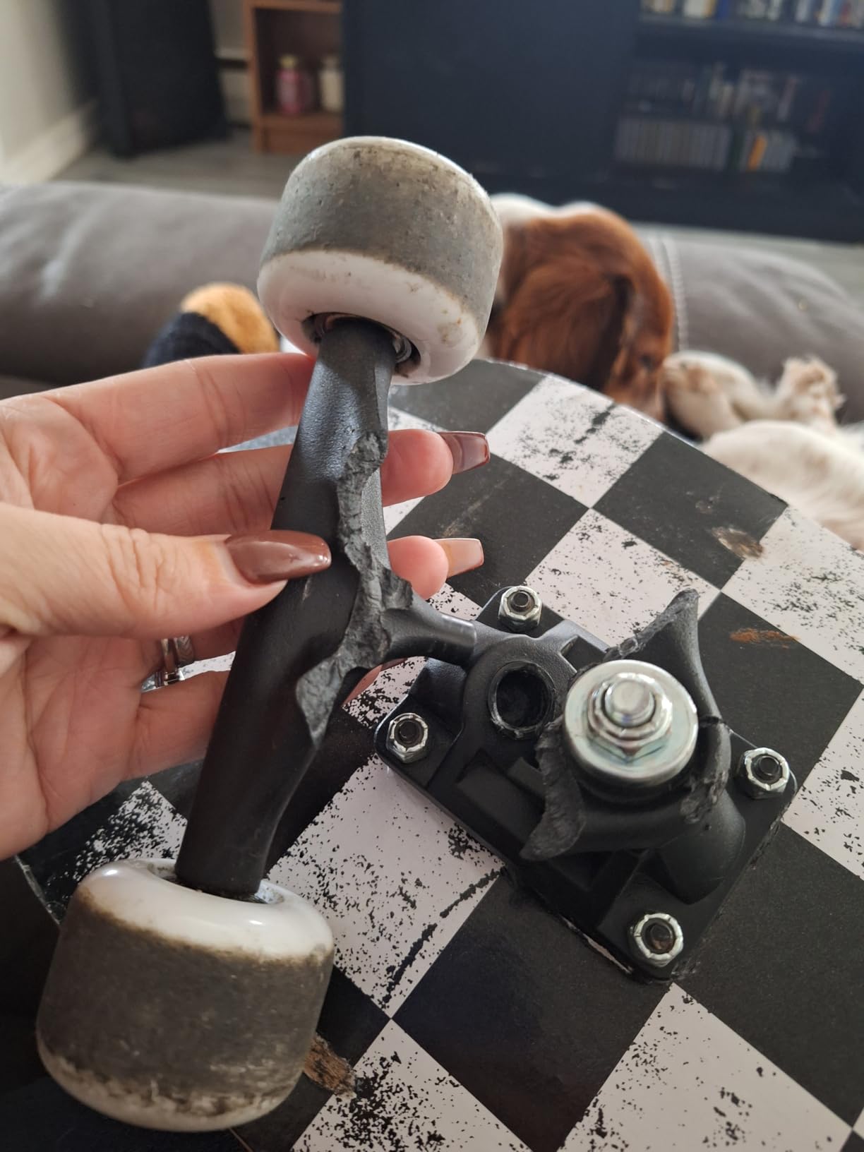 Nattork 31 Inch Complete Skateboard, Standard Skateboards for Beginners, Wood 9 Layer Canadian Maple Trick Skate Boards for Boys Girls Youth Teens Adults - Customer Photo 1