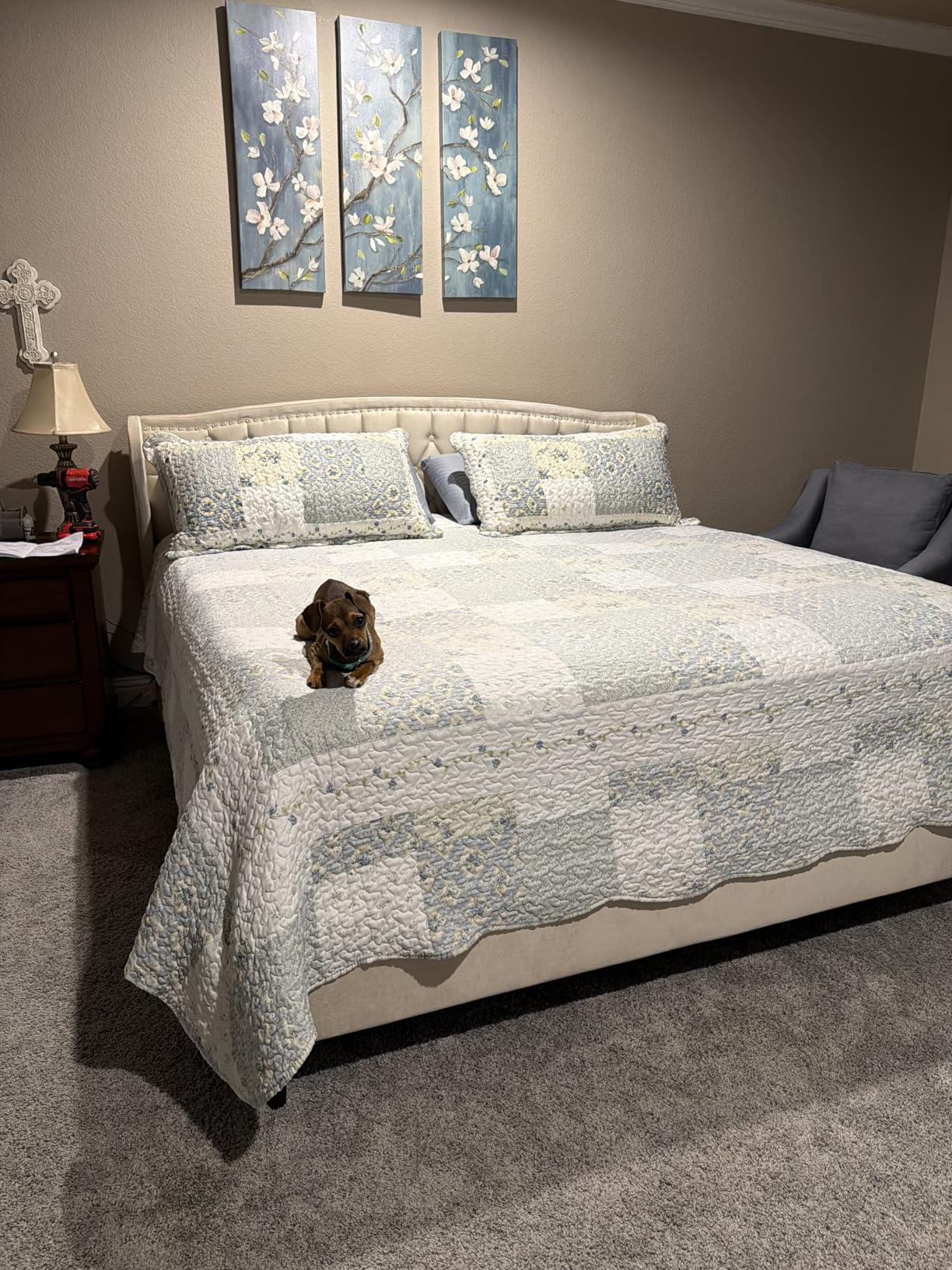 Belffin Queen Bed Frame with Headboard, Luxury Upholstered Velvet Platform Bed with Wingback, Button Tufted & Nailhead Trim, Anti-Slide Tall Footboard, No Box Spring Needed, Noise-Free, Black - Customer Photo 1