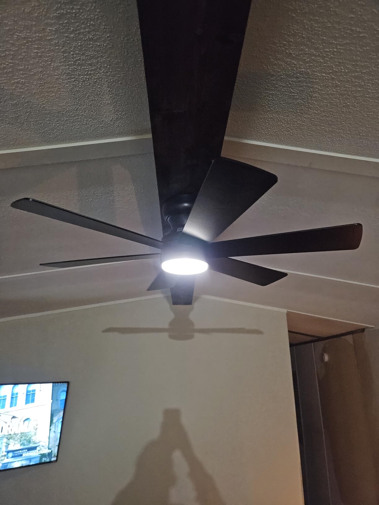 Asyko Ceiling Fans with Lights,46