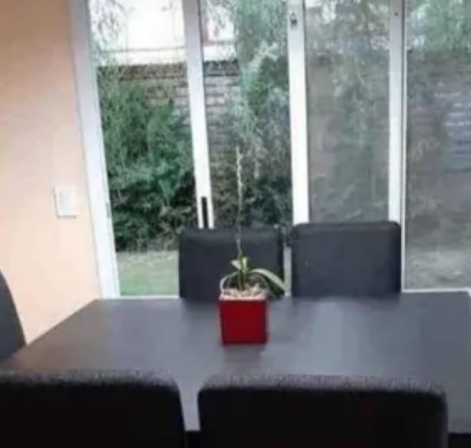 55.1-86.6 in Extendable Dining Room Table for 6-10 Person - Plank and Beam Farmhouse Large Rectangular Kitchen Tables for Living Meeting Room (Onyx Black) - Customer Photo 1