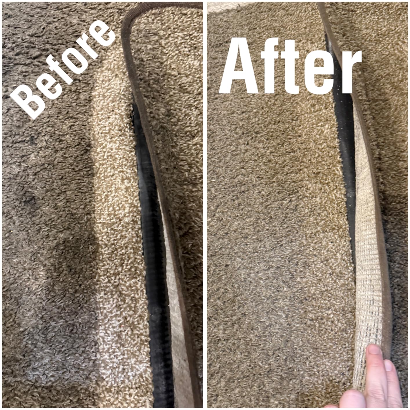 Shark StainStriker Portable Carpet & Upholstery Cleaner w/on board self cleaning - Spot, Stain, & Odor Eliminator, Includes 2 Cleaning Tools & 2 Cleaning Solutions, Charcoal, PX221BRN - Customer Photo 1