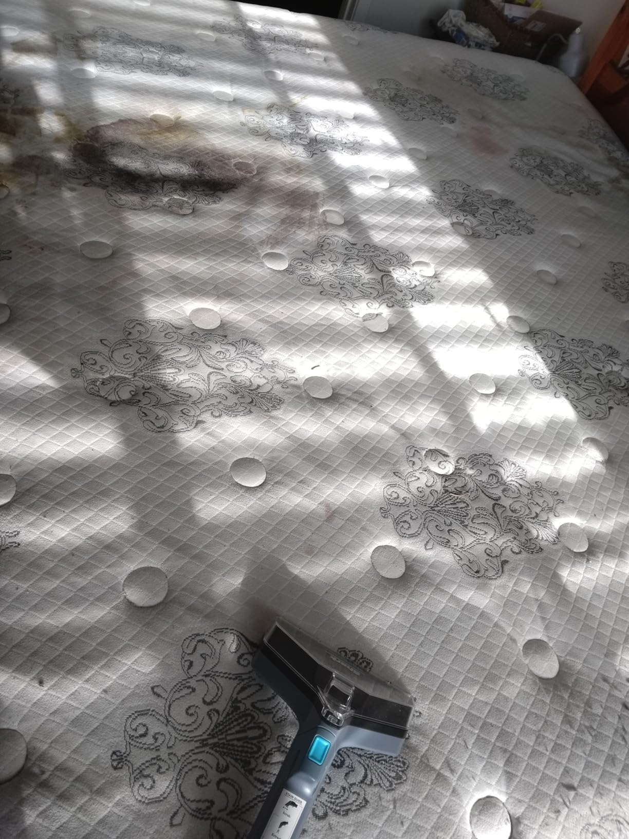 Shark StainStriker Portable Carpet & Upholstery Cleaner w/on board self cleaning - Spot, Stain, & Odor Eliminator, Includes 2 Cleaning Tools & 2 Cleaning Solutions, Charcoal, PX221BRN - Customer Photo 4