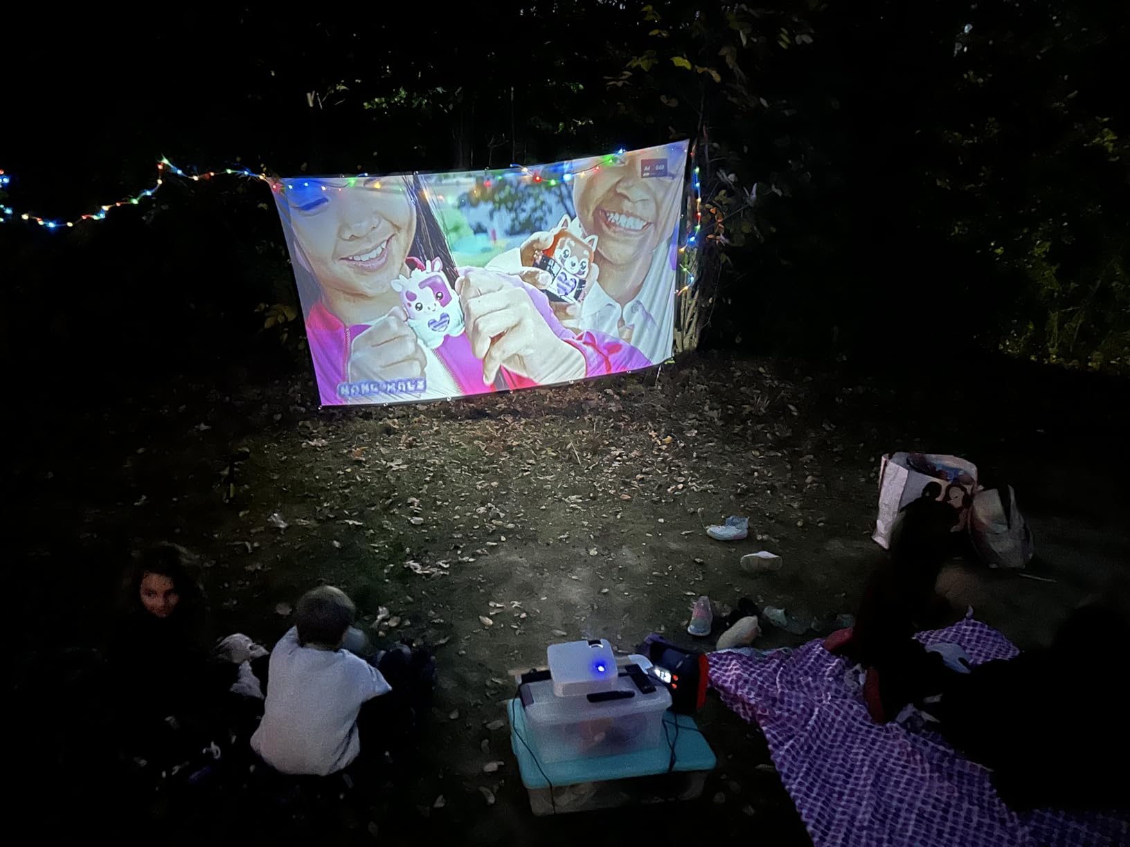 EnginStar Portable Power Station 300W 296Wh Battery Bank with 110V Pure Sine Wave AC Outlet for Outdoors Camping Hunting and Emergency, 80000mAh Backup Battery Power Supply for CPAP - Customer Photo 2